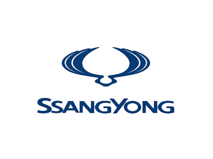 SsangYong Rexton 270 XDi 163 PS